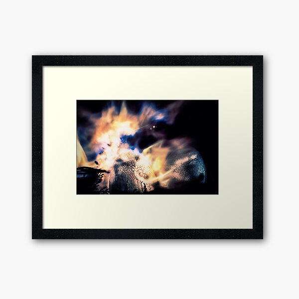 Framed Art Print
