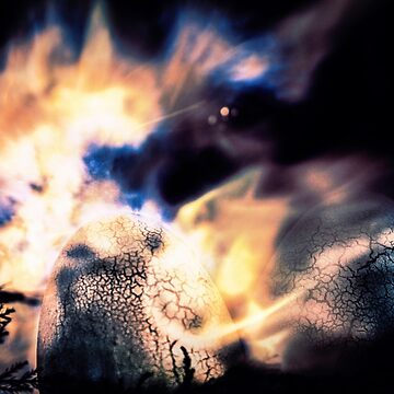 Artwork thumbnail, Cosmic Eggs by Darren Bailey LRPS