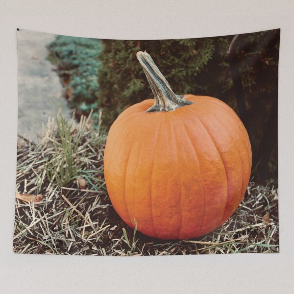 Item preview, Pumpkin on a Hay Bale designed and sold by RoseyElisabeth.