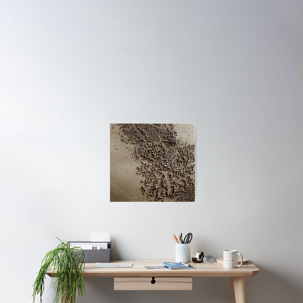 Beach harvest Poster