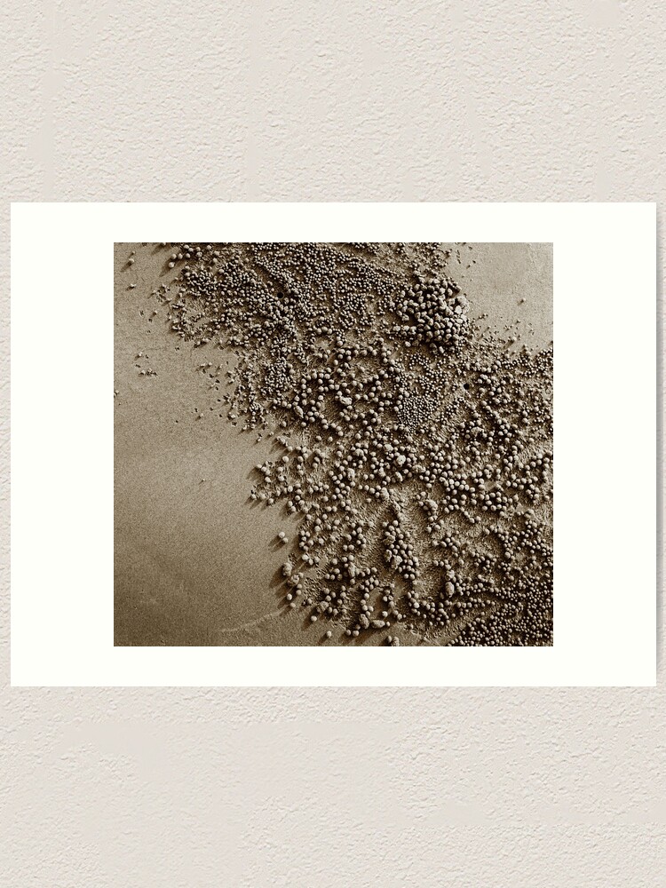 Alternate view of Beach harvest Art Print
