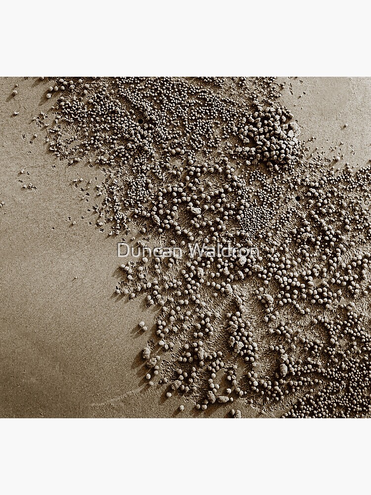 Beach harvest by DuncanW