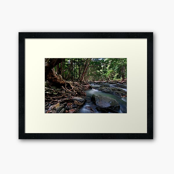 Lord of the Rings River Framed Art Print