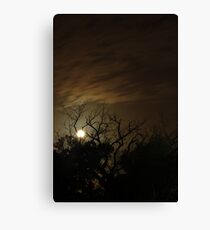 Moonlight Canvas Print