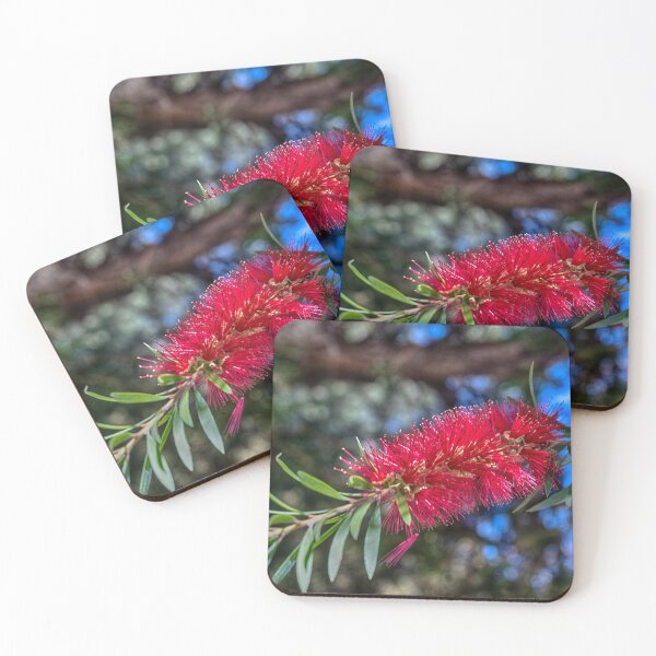 Item preview, Bottlebrush -- Native Australian Bushflower designed and sold by Jay Heifetz.