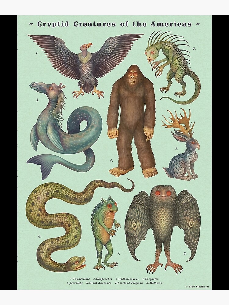 "Cryptids of the Americas Cryptozoology species Poster" Art Print by ...