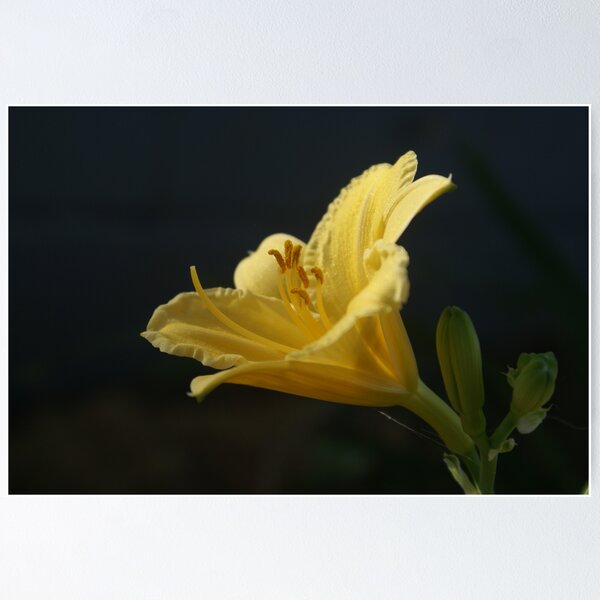Item preview, Yellow designed and sold by Cking1575.
