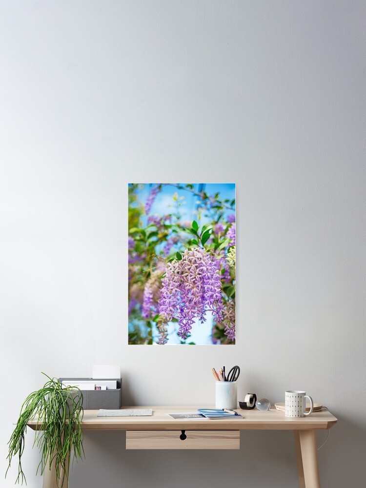 Thumbnail 2 of 3, Poster, Spring blossom designed and sold by runlenarun.