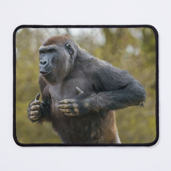 Item preview, Chest Beating Gorilla designed and sold by rawshutterbug.