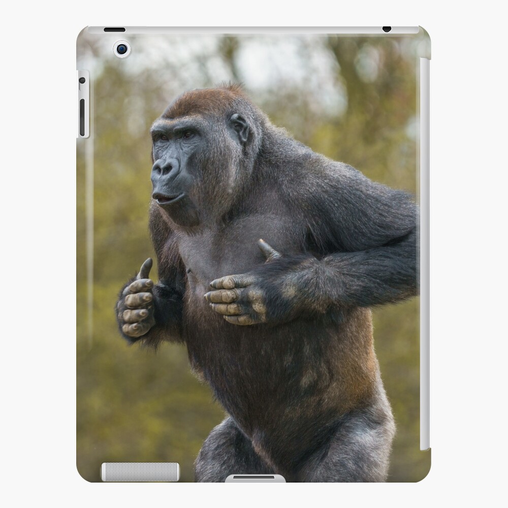 Gorilla Sitting Down Cutting Board by Passie