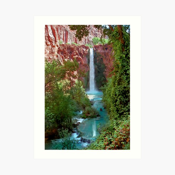 Moony Falls and Tree Art Print