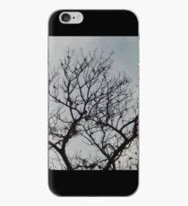 Companionship iPhone Case