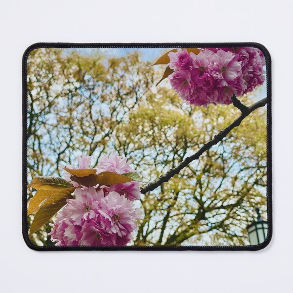 Item preview, Sakura at Church Street Stoke Newington London designed and sold by NesheYx.