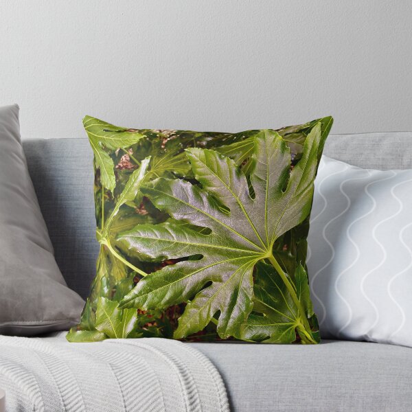 Item preview, Hojas verdes gigantes de Fatsia Japonica designed and sold by NesheYx.