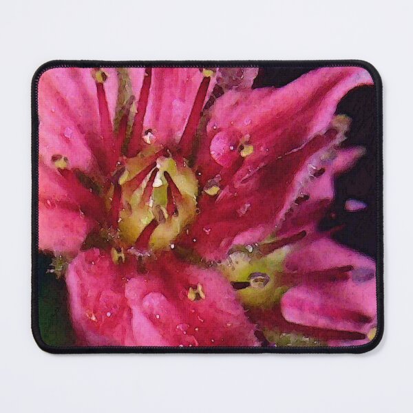 Item preview, larissa designed and sold by anata77.