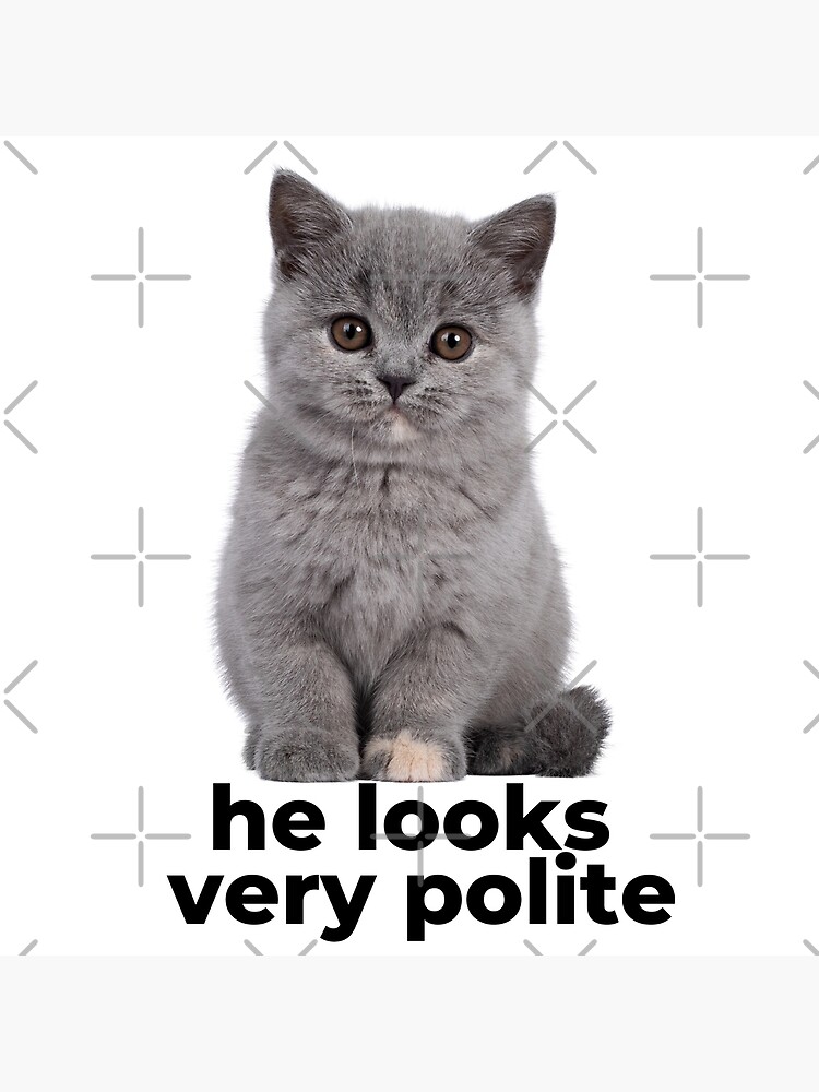 Polite Cat Meme | Mounted Print