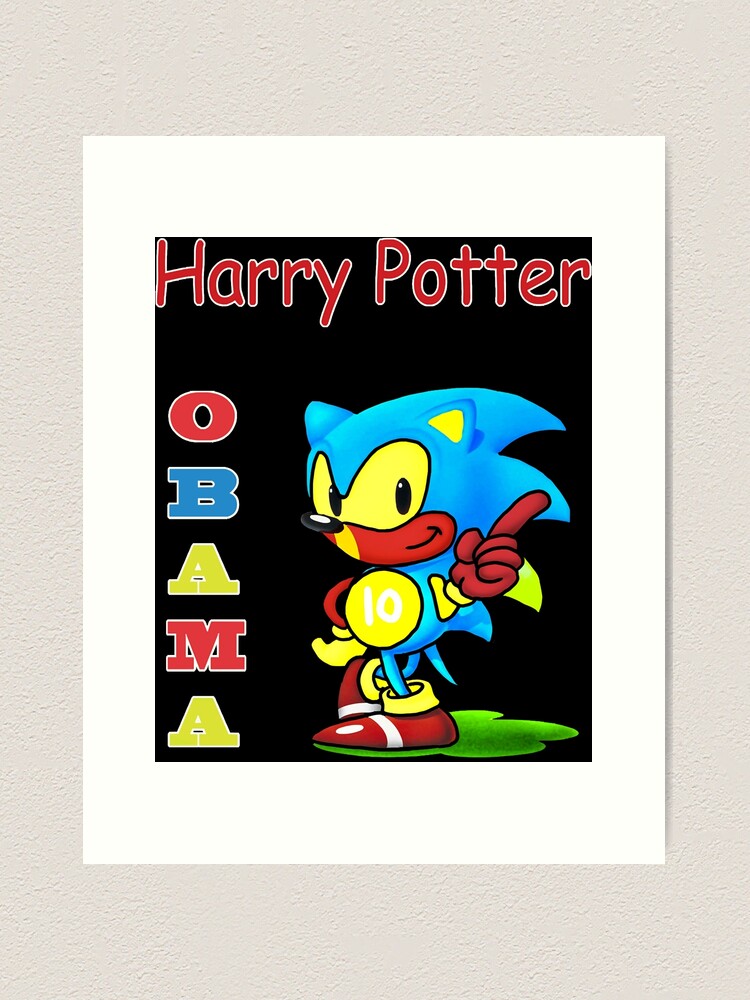 Harry Potter Obama Sonic Version Mug