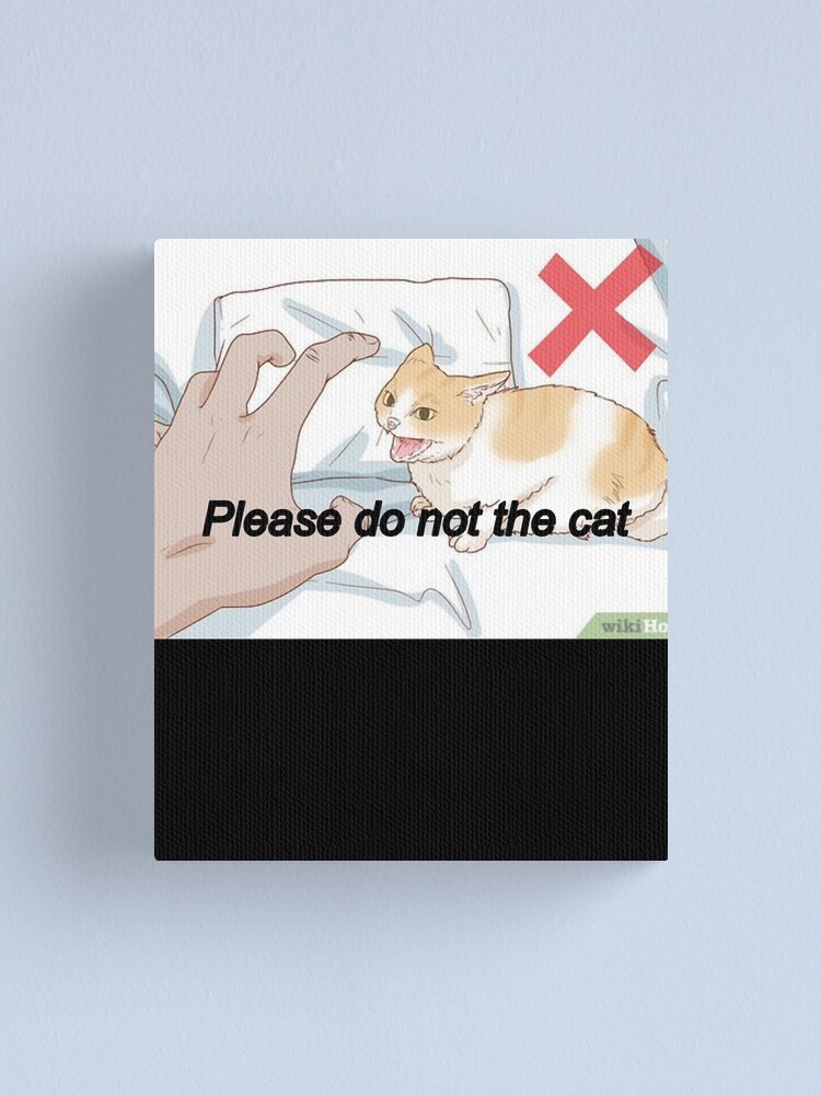 Please Do Not The Cat Meme