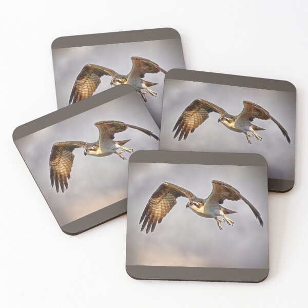 Item preview, Osprey in Flight - Florida designed and sold by Kathy Weaver.