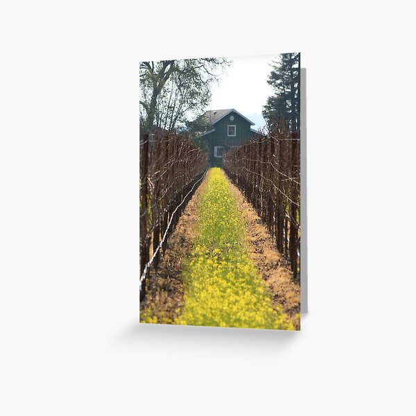 Green Barn Greeting Card