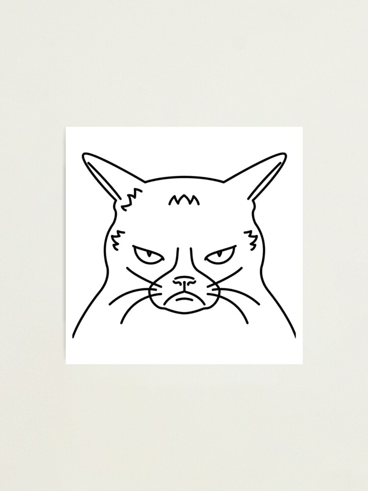 angry cat face meme | Photographic Print