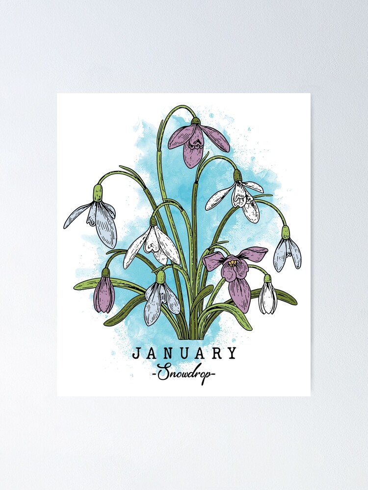 Poster « Fleur du mois de naissance Né en janvier Fleurs de perce-neige »,  par jazminanett | Redbubble
