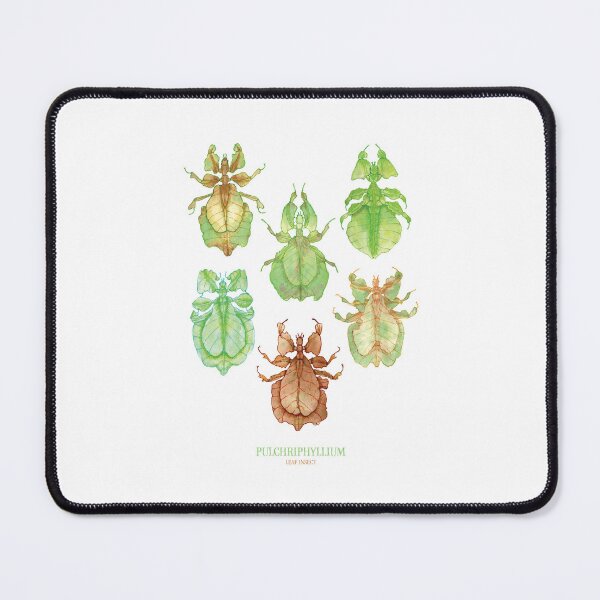 Item preview, Leaf Insects designed and sold by HollyHDesigns.