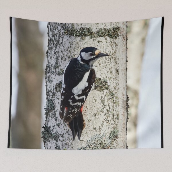 Item preview, To be or not to be. Great spotted woodpecker designed and sold by Jouko Lehto Photography.