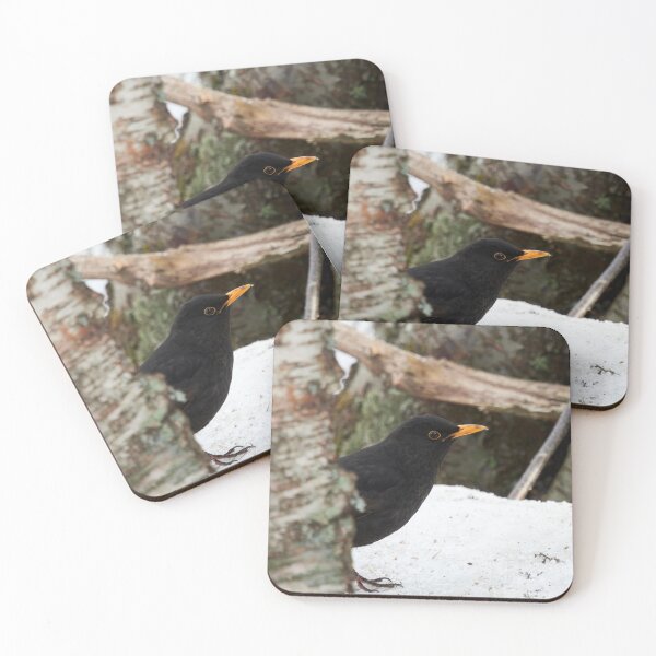 Item preview, Hide and seek. Common blackbird designed and sold by Jouko Lehto Photography.
