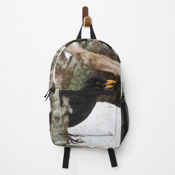 Item preview, Hide and seek. Common blackbird designed and sold by Jouko Lehto Photography.