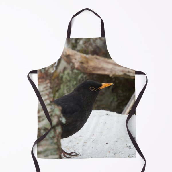 Item preview, Hide and seek. Common blackbird designed and sold by Jouko Lehto Photography.