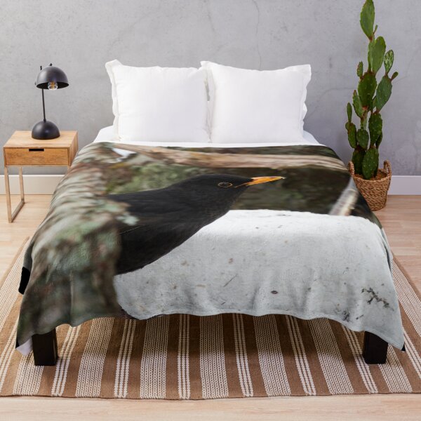 Item preview, Al escondite. mirlo común designed and sold by Jouko Lehto Photography.