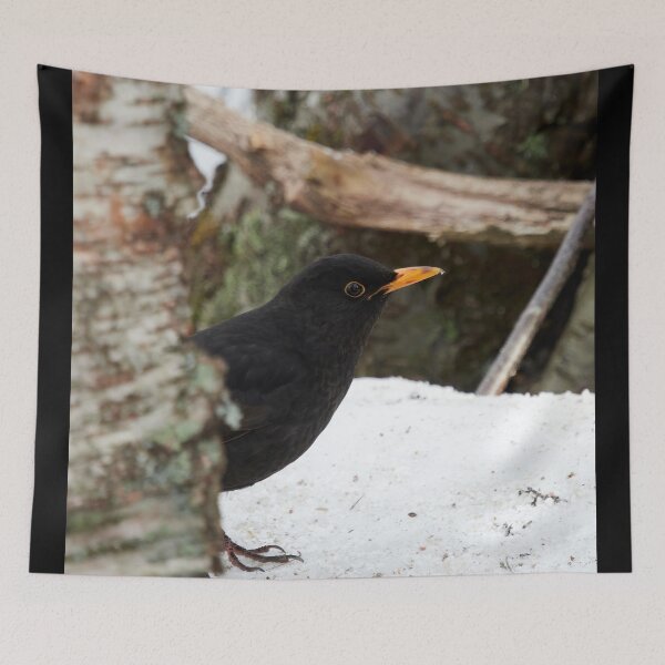Item preview, Hide and seek. Common blackbird designed and sold by Jouko Lehto Photography.
