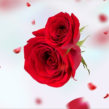 Artwork thumbnail, Rose by JeanMNelson