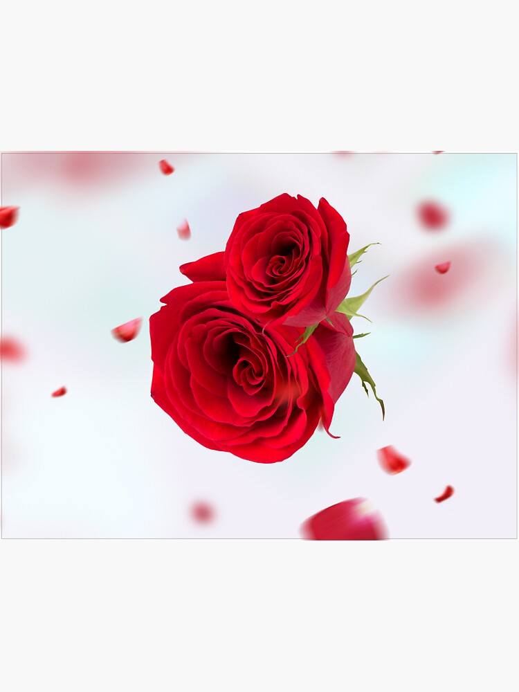 Thumbnail 3 of 3, Sticker, Rose designed and sold by JeanMNelson.