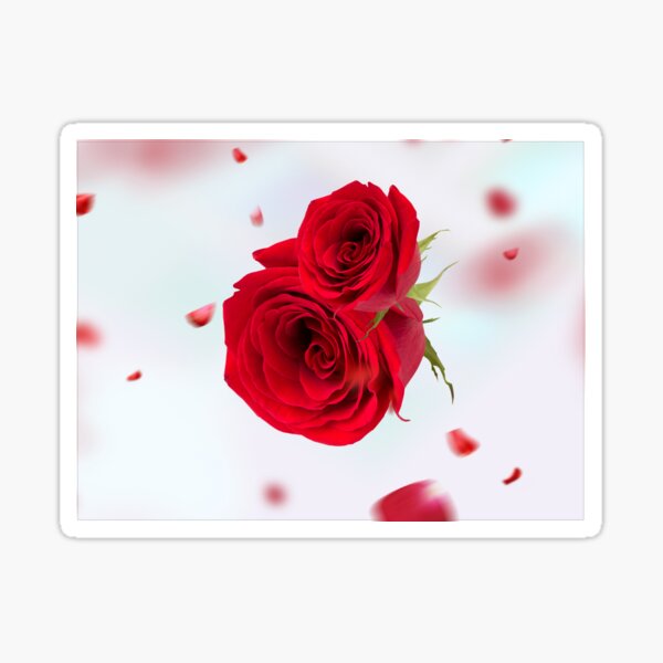 Rose Sticker