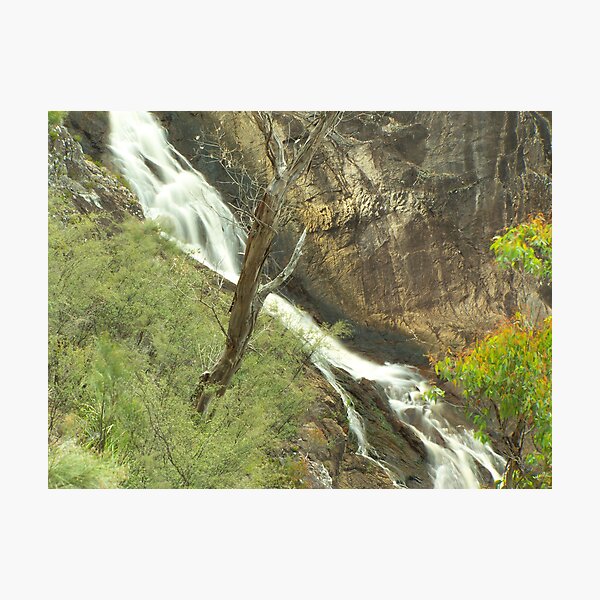 Artikelvorschau, Falling Water entworfen und verkauft von aperture.