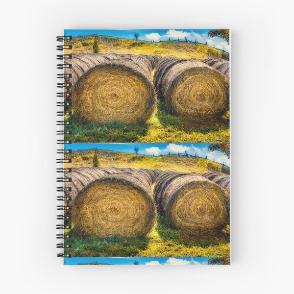 Item preview, Hay Bales 10 designed and sold by Robert Alsop.