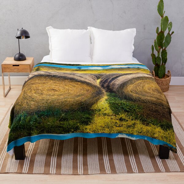 Item preview, Hay Bales 10 designed and sold by Robert Alsop.