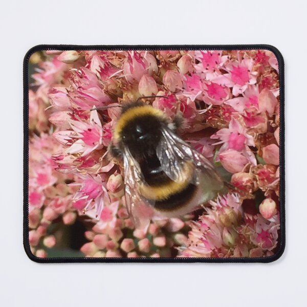 Item preview, Floral Delight Bumblebee on a Sedum Flower. “Save our Bees” designed and sold by Angela Haig-Harrison.