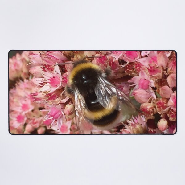 Item preview, Floral Delight Bumblebee on a Sedum Flower. “Save our Bees” designed and sold by Angela Haig-Harrison.