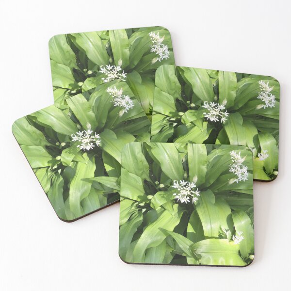 Item preview, Wild Garlic. Nature’s Abundance. Uk designed and sold by Angela Haig-Harrison.