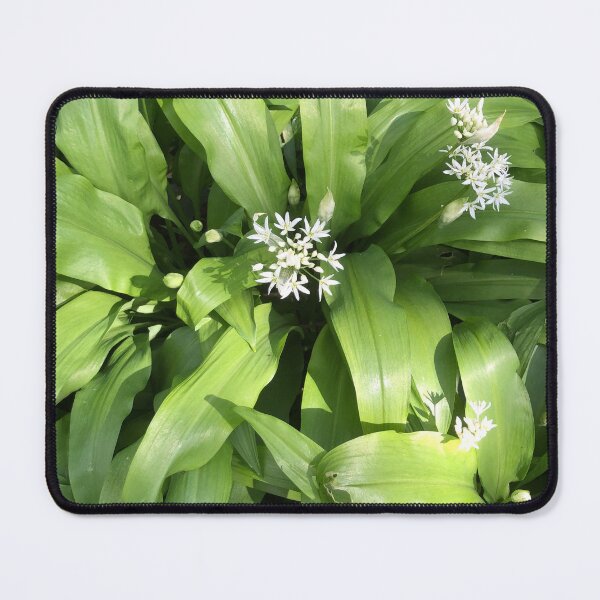 Item preview, Wild Garlic. Nature’s Abundance. Uk designed and sold by Angela Haig-Harrison.