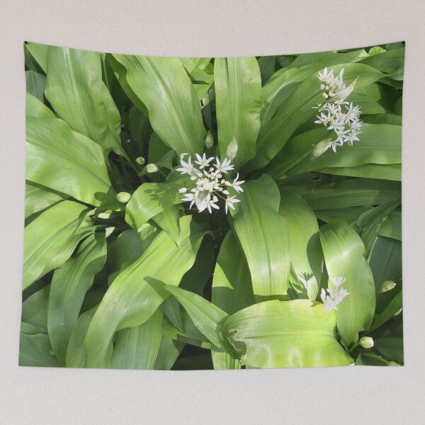 Item preview, Wild Garlic. Nature’s Abundance. Uk designed and sold by Angela Haig-Harrison.