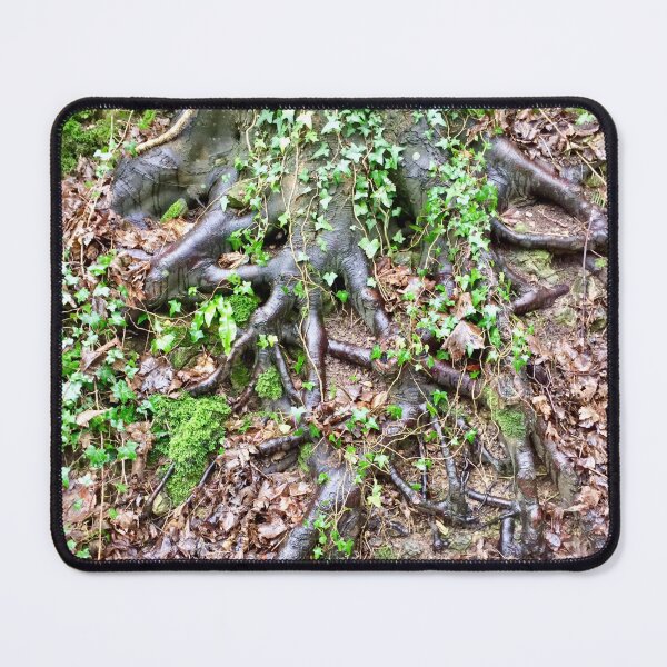 Item preview, “Holding On” Deep Roots. “Lost in the Cotswolds,Uk” designed and sold by Angela Haig-Harrison.