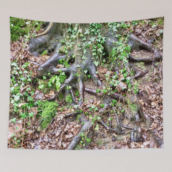 Item preview, “Holding On” Deep Roots.  “Lost in the Cotswolds,Uk” designed and sold by Angela Haig-Harrison.