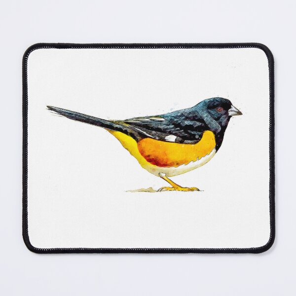 Artikelvorschau, Spotted Towhee - Wingspan-Brettspiel entworfen und verkauft von Mimi's Sunday.