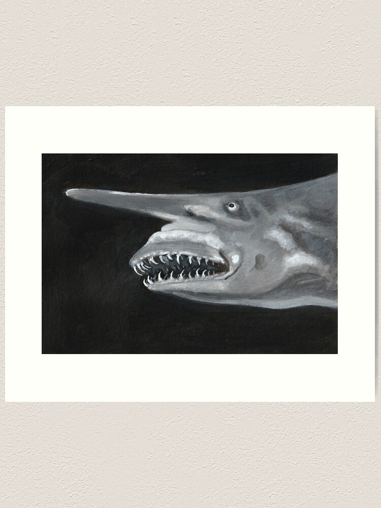 Goblin Shark Dimensions & Drawings