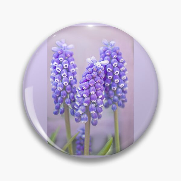 Item preview, Muscari Trio designed and sold by Alisonchambers2.