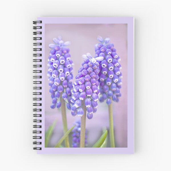 Item preview, Muscari Trio designed and sold by Alisonchambers2.